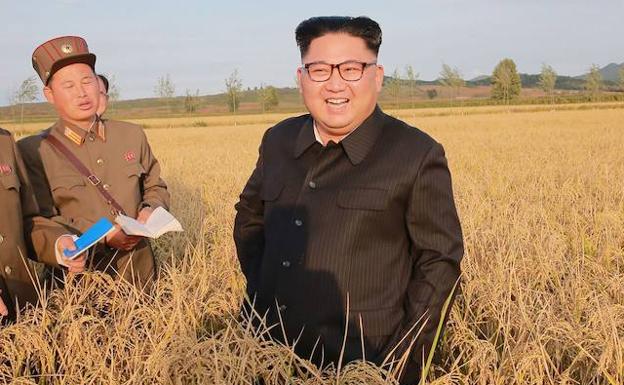 Kim Jong-un visita una granja norcoreana. /AFP PHOTO