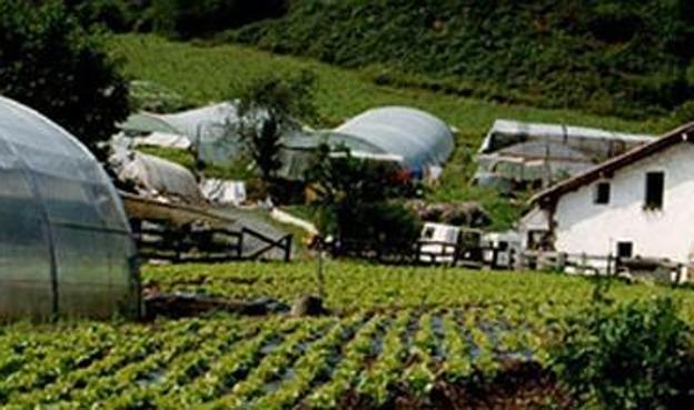 El número de explotaciones agrícolas baja en Gipuzkoa el 2,1% desde 2013