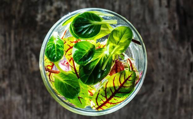 Sumar una ración diaria de vegetales de hoja verde puede ser una forma de cuidar la salud mental. /