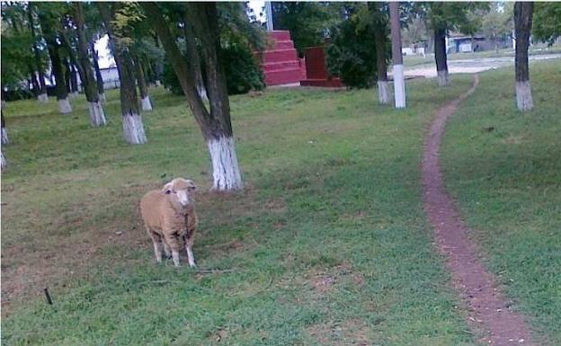 ¿Reconoce este paisaje? Denuncie, aquí actúa un pederasta