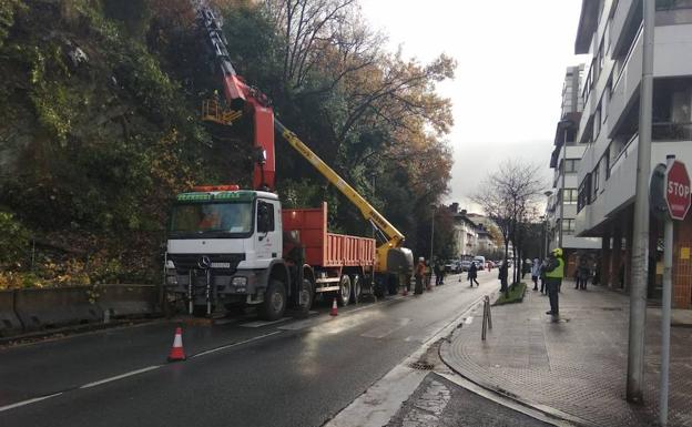Tala de árboles en la avenida de Zarautz/