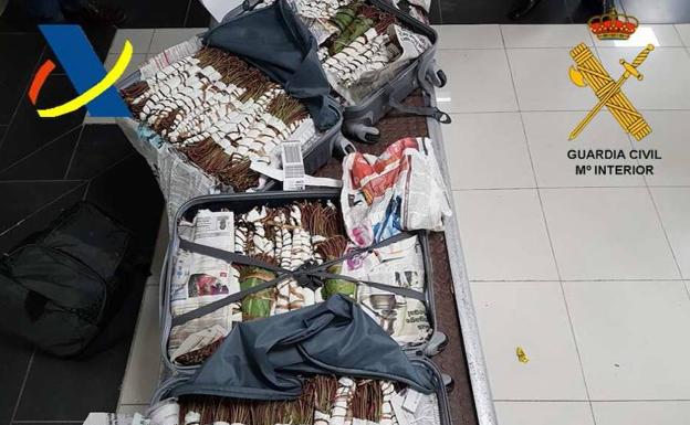 La droga encontrada en el equipaje del detenido./Ministerio del Interior