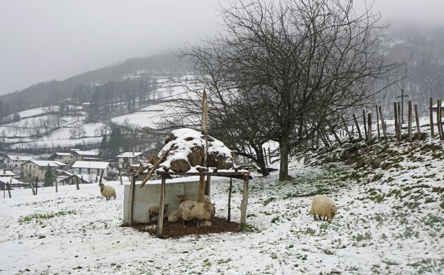 Nieve en Berastegi/Lobo Altuna