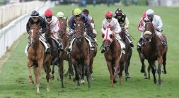 Jockeys y caballos sufrieron las duras condiciones de una hierba castigada por la lluvia. /JOSÉ MARI LÓPEZ/
