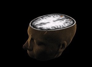 Desvelan los cambios del cerebro cuando aprende a leer