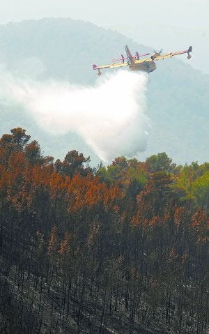 Un hidroavión trabaja en las labores de extinción. :: EFE/