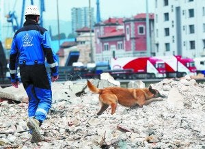 Uno de los perros y su adiestrador, durante la práctica de una prueba ayer en Pasaia. :: LUSA/