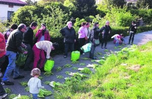 Babak, ilar txikiak, zerbak, letxugak eta baratxuriak zeuden jasotzeko. ::
GOIZARIN/