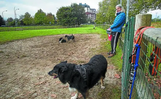 Tres perros en la zona de esparcimiento para canes junto al bidegorri de Osinbiribil./F. DE LA HERA