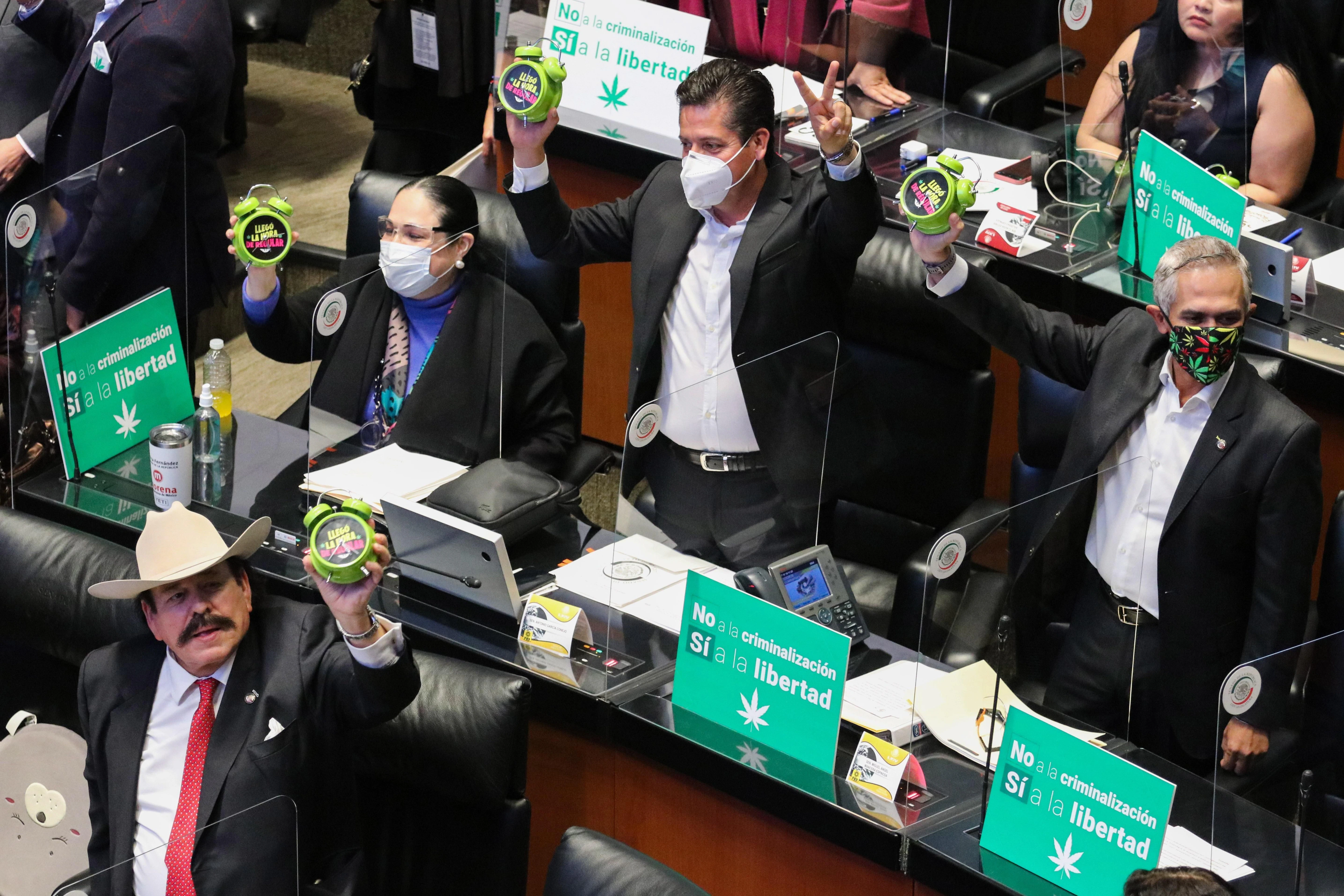 Fotos El Senado De Mexico Aprueba La Legalizacion De La Marihuana El Diario Vasco