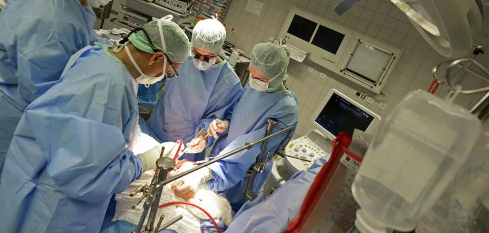 Primer trasplante de riñones de cerdo a un paciente con muerte cerebral