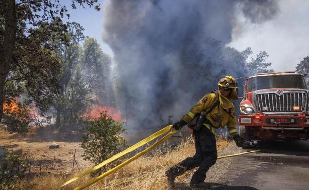 A firefighter works to extinguish the forest fire